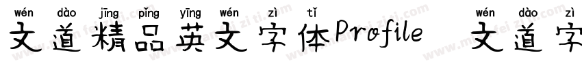 文道精品英文字体Profile   文道字库字体转换